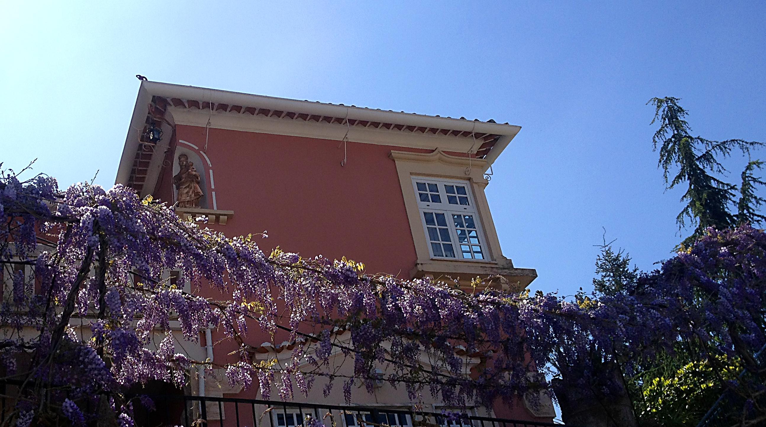 Alegre - Bussaco Boutique Hotel Luso  Εξωτερικό φωτογραφία