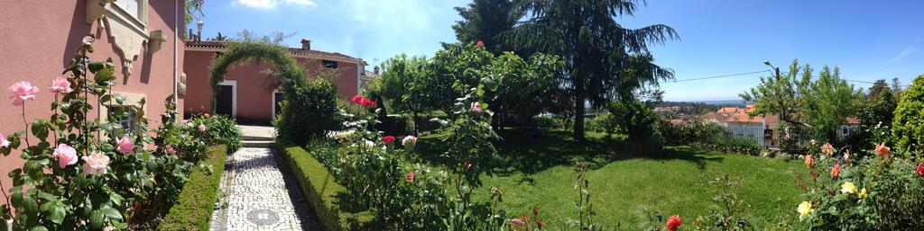Alegre - Bussaco Boutique Hotel Luso  Εξωτερικό φωτογραφία
