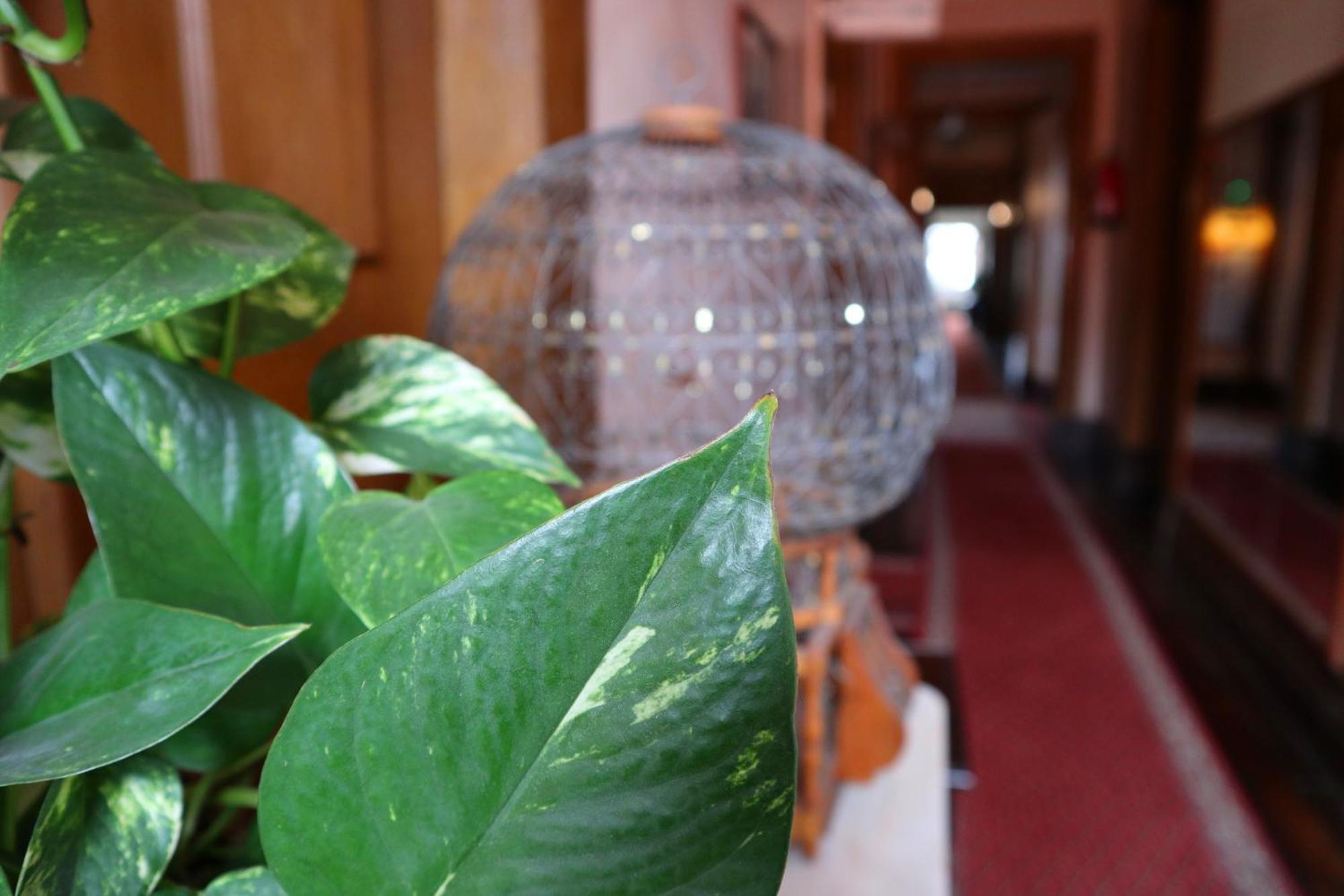 Alegre - Bussaco Boutique Hotel Luso  Εξωτερικό φωτογραφία