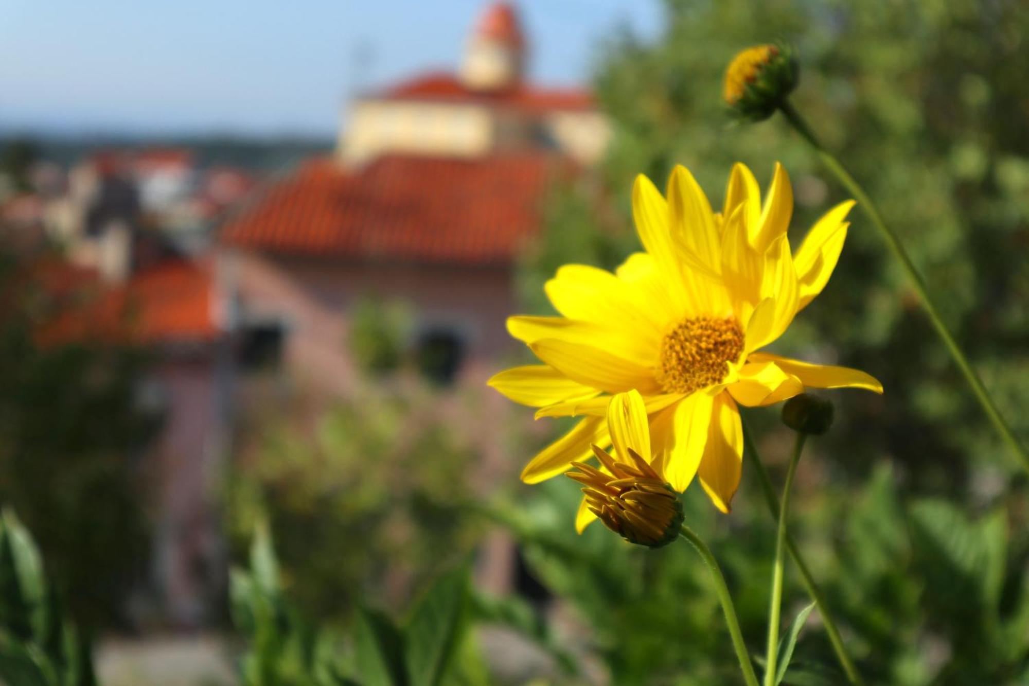 Alegre - Bussaco Boutique Hotel Luso  Εξωτερικό φωτογραφία